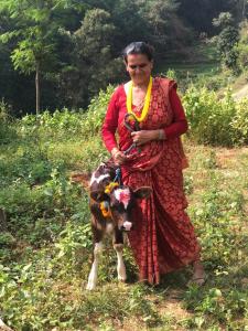 Ghattetar farm stay
