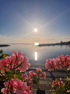 Marè Sunrise