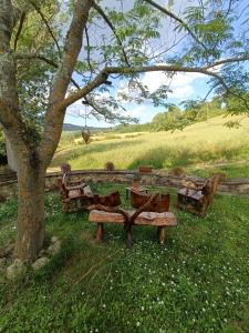 CoLiving Experience Casa Pesciola
