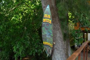 Ala Delta Cabaña