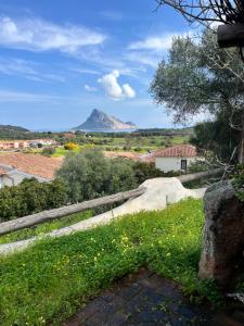 Casa Orizzonte su Tavolara-Vista Mare img2