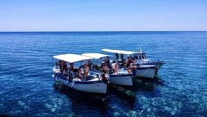 La Casa del Pesce Azzurro