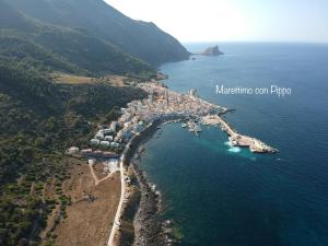 La Casa del Pesce Azzurro