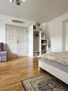 Beautiful apartment in the heart of Lviv