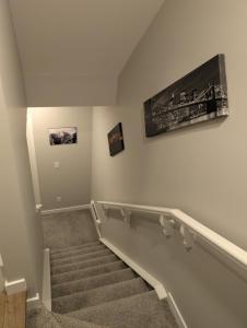 Brand New Cozy Suite - SW Calgary