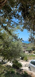Villa Gioia