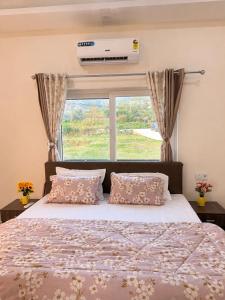 Boutique stay with little Tiger