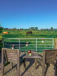 Bungalow with Hot Tub, BBQ Hut, Golf Net , Large Garden & Play Area