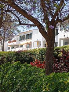 Pool-View Apartment with Terrace & Lift in Pueblo del Parque