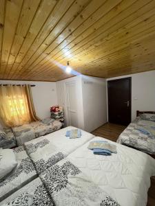 Hostel Sherifaj