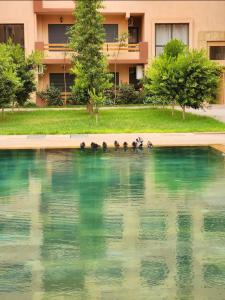 Premium appartement Marrakech