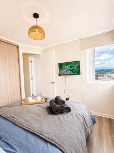 Condominio Mirador al Volcan Depto 3D Premium con Vista al Volcan y Piscina