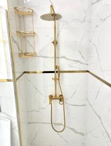 Flat in Shumen