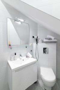 Apartments with WiFi Rovinj - 25550