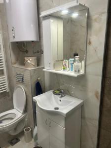 Apartman Anika Priboj