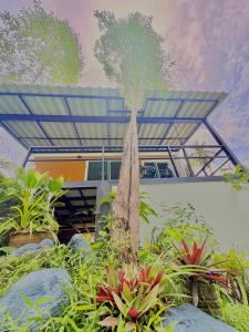 Moon Jungle Bungalows