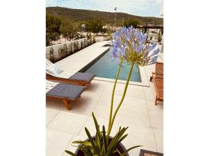 Villa in Bilice with swimming pool