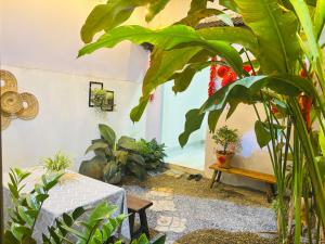 Nhà mình Homestay