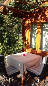 Sakin Vadi Winehouse