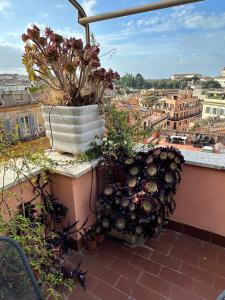 Spanish Steps Rome View