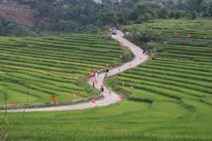 Hiếu Hương Homestay