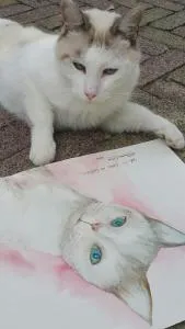 B&B La Casa in Collina - Borgo Zanetti