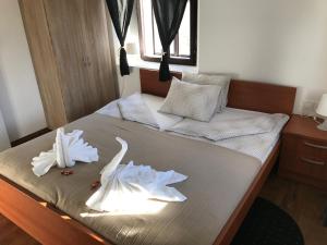 B&B Rot 