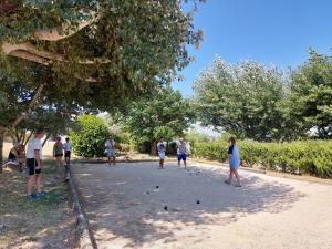 Le Grand Pin - La Fontinelle