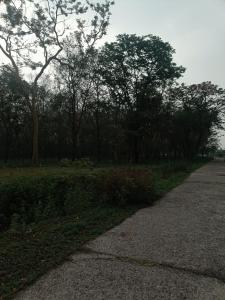 Now and Nature
