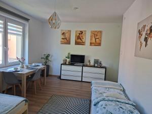 Apartament VERDE Malbork centrum