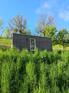 Tinyhouse Cecilka