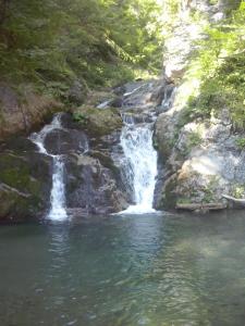 Apartments Peternelj