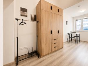 Cozy Mezzanine Apartment near Center