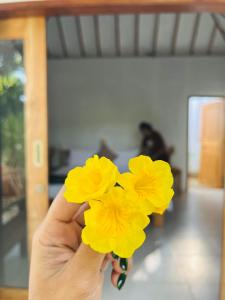 Gracia Bungalow