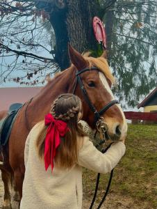 Centrul de Echitatie Poiana Brasov