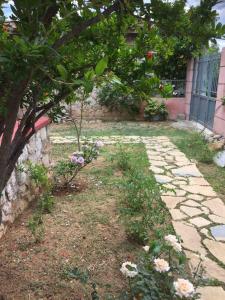 unique villa in acropolis area