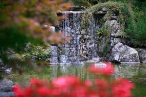 Guesthouse Villa Zelenjak Ventek