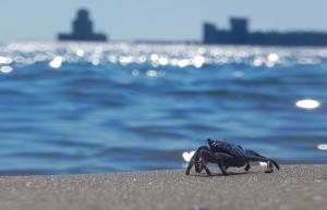 Methoni 240 06, Greece.