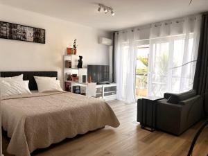 Spacious Studio