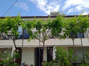 Velia Rooms