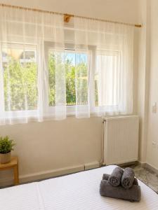 Asana by Agora Flats
