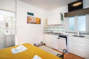 Studio Apartment Rapska with Terrace