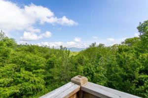 Bearadise Cabin - Pet Friendly Great Views Firepit and Yard on Sugar Mountain 2 Car Garage