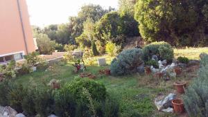 Studio Apartments Marica