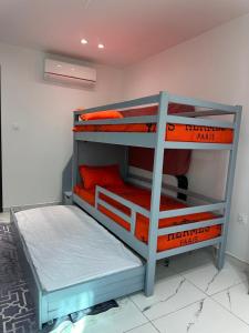 Algiers Center - Superb New 4-room