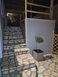 Elia house of Chalki