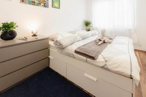 BNB Jégeho City Apartment