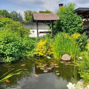Ferienhaus im Spreewald