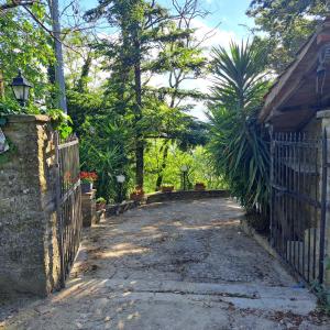 Arezzo - Il Rifugio nel Bosco