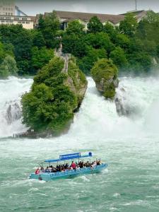 Mehrere Ferienwohnungen in Top Lage in der Nähe eines Rhein-Strandbads